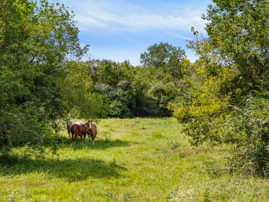 00 Tower Road, Santa Fe, TX 77517 00 Tower Road, Santa Fe, TX 77517