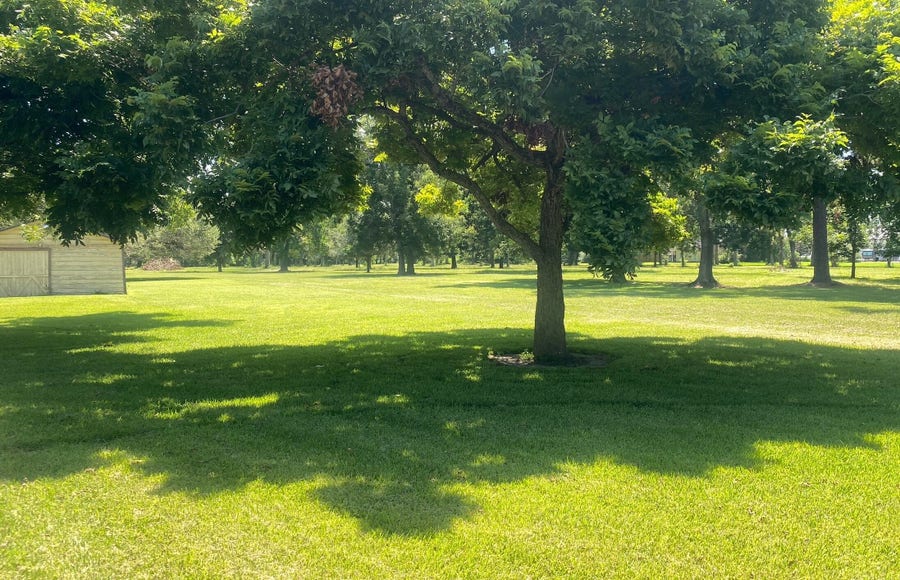 Property photo for 1101 S Main Street, Highlands, TX