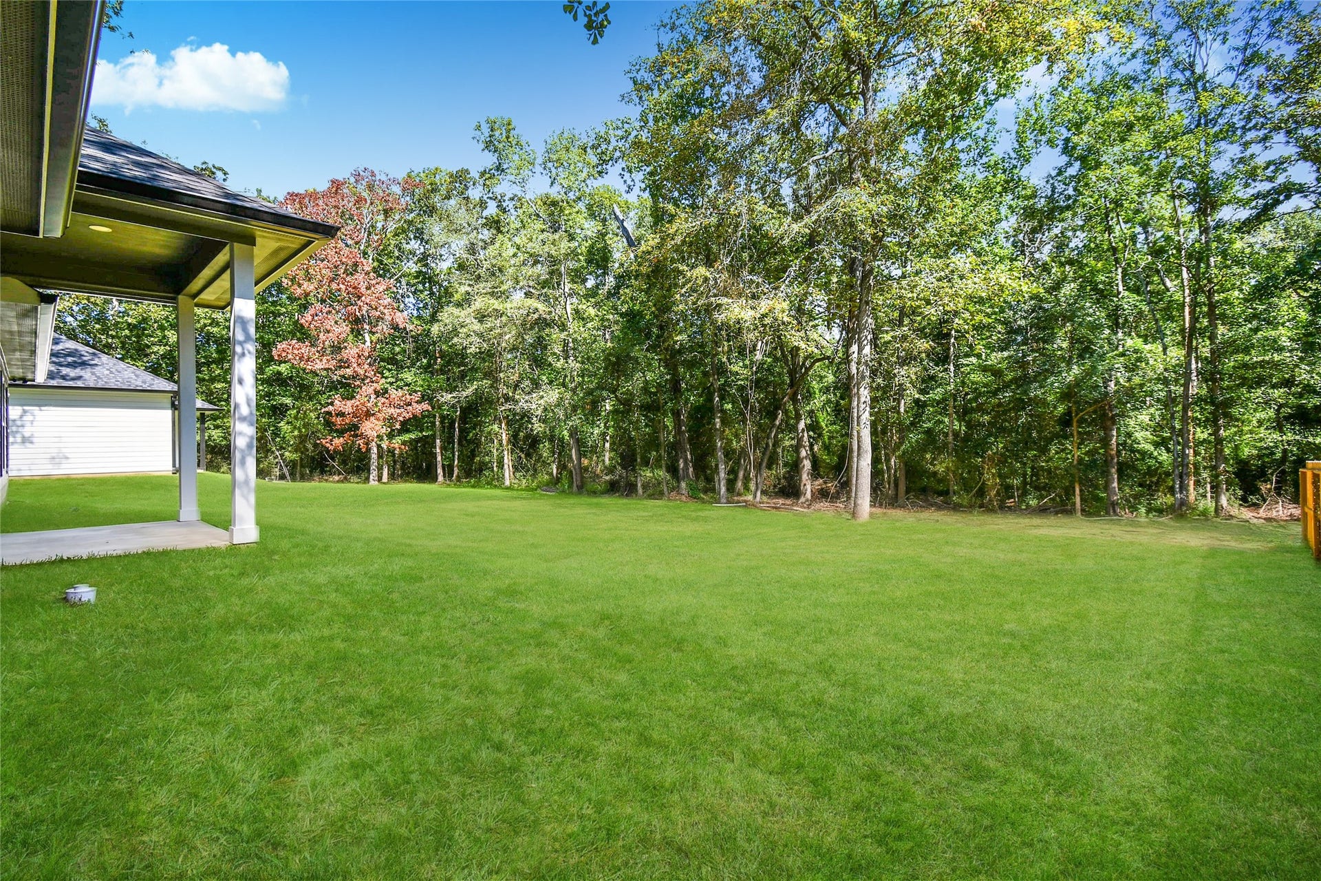 3575 Roy Bean Road, Willis, TX 77378