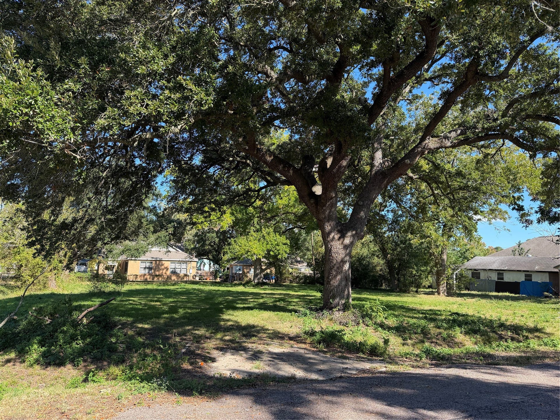 3705 Venze Street, Dickinson, TX 77539 A Generous Homesite with Mature Trees!
Imagine the possibilities on this cleared residential lot, where established shade trees add character and natural appeal.