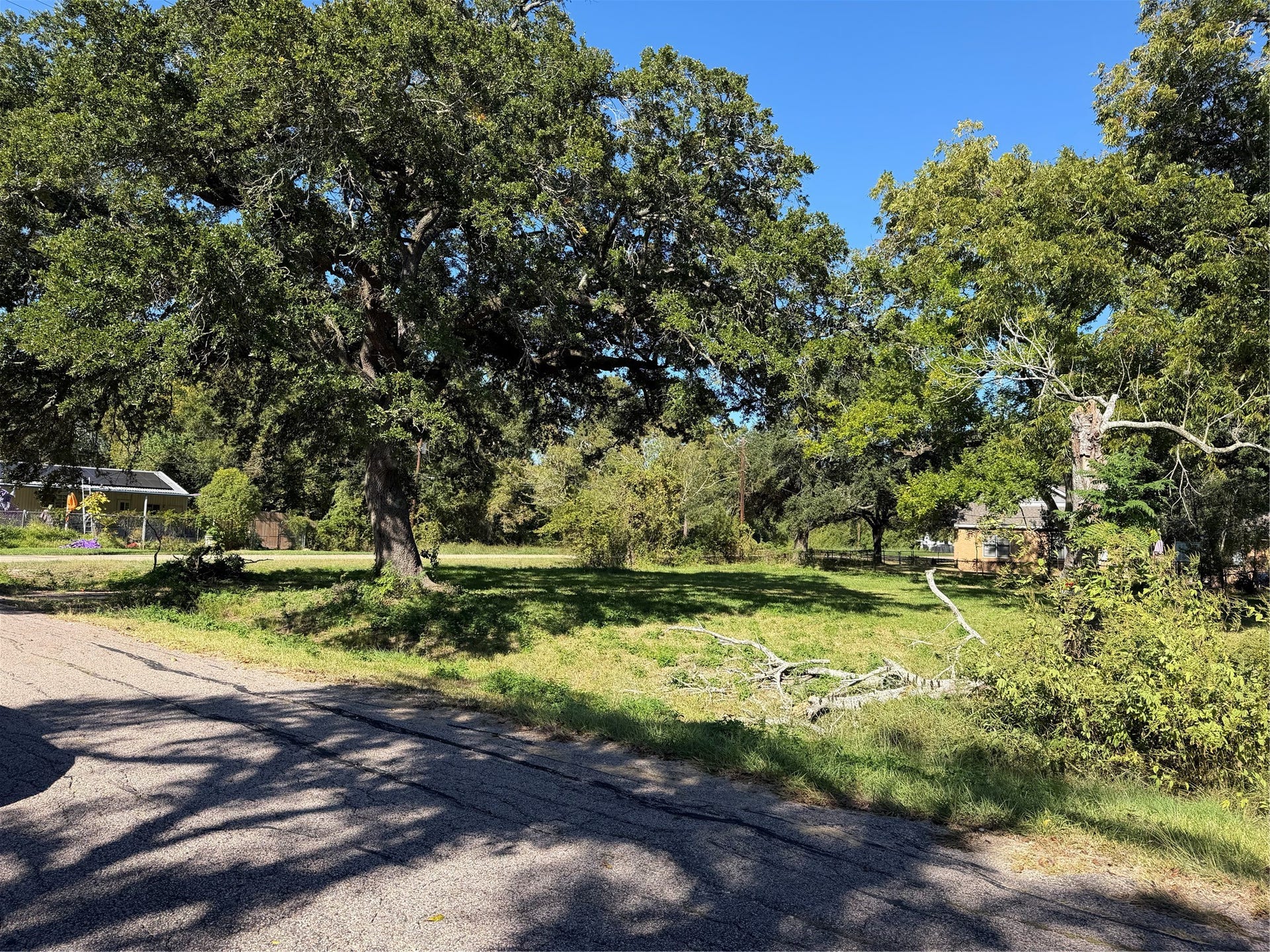 3705 Venze Street, Dickinson, TX 77539 Space to Bring Your Vision to Life!
An attractive residential homesite offering approximately 0.30 acres of land with established trees and room to envision your next chapter.