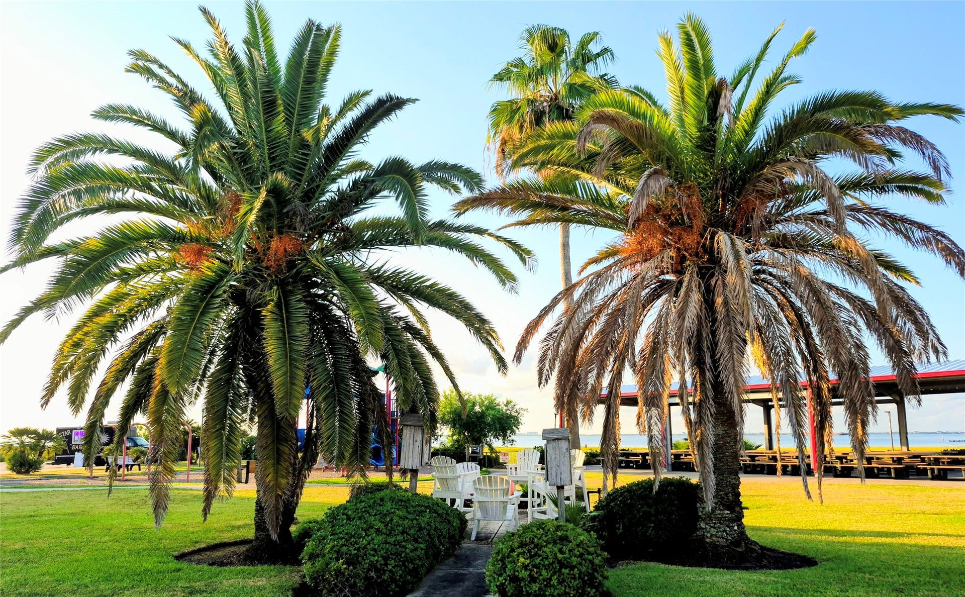 Park