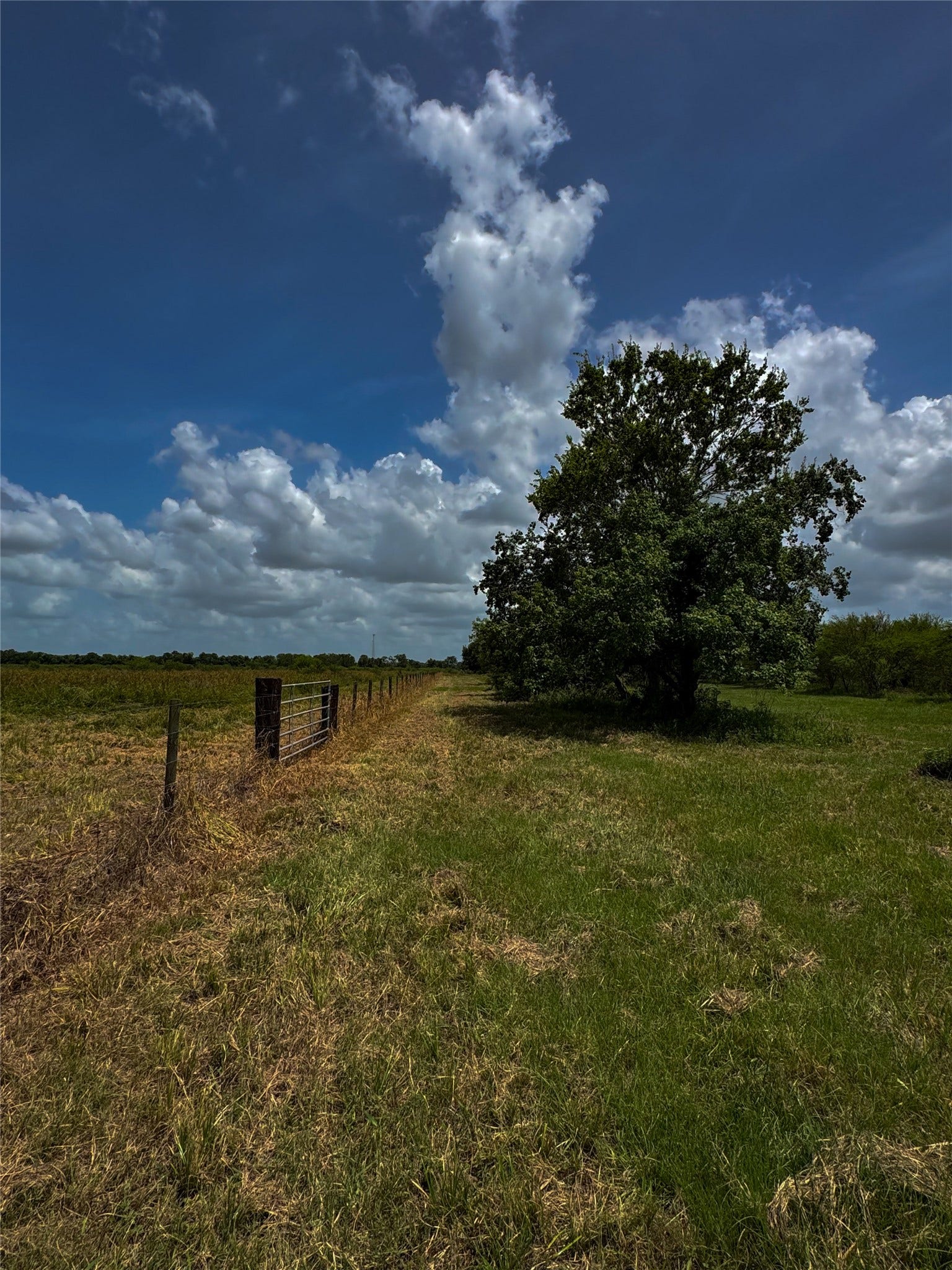 TRACT 1 Foster School Road, Needville, TX 77461 TRACT 1 Foster School Road, Needville, TX 77461