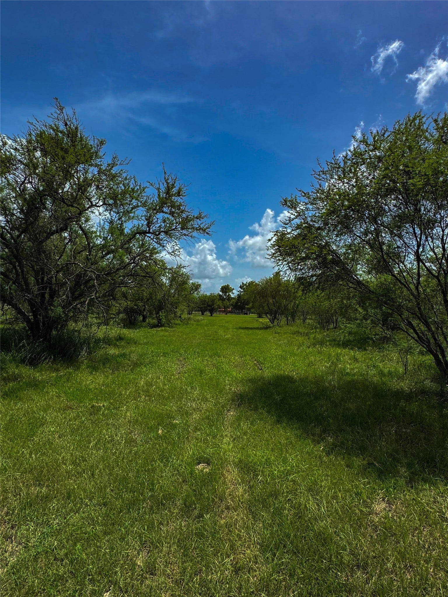 TRACT 1 Foster School Road, Needville, TX 77461 TRACT 1 Foster School Road, Needville, TX 77461