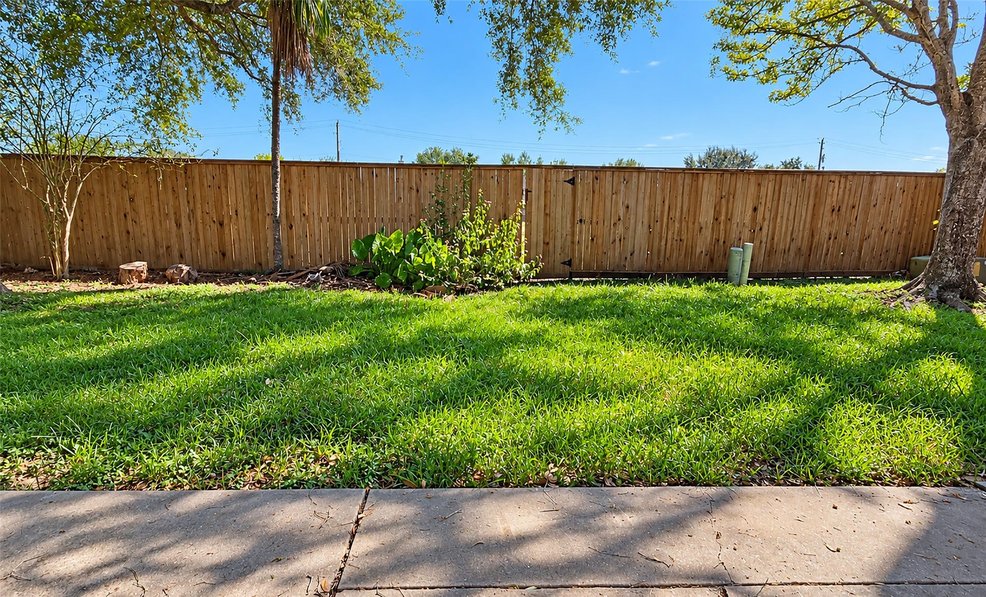 5304 Spring Branch Drive, Pearland, TX 77584 5304 Spring Branch Drive, Pearland, TX 77584