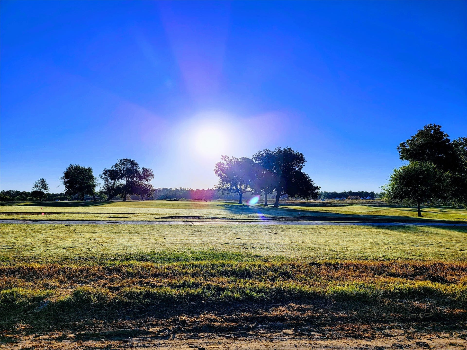10333 Iris Hope Court, Willis, TX 77318 10333 Iris Hope Court, Willis, TX 77318