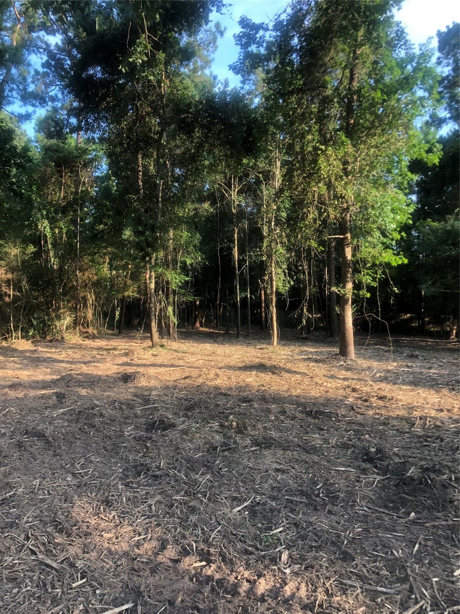 Property photo for 722 Carriage View Lane, Huffman, TX