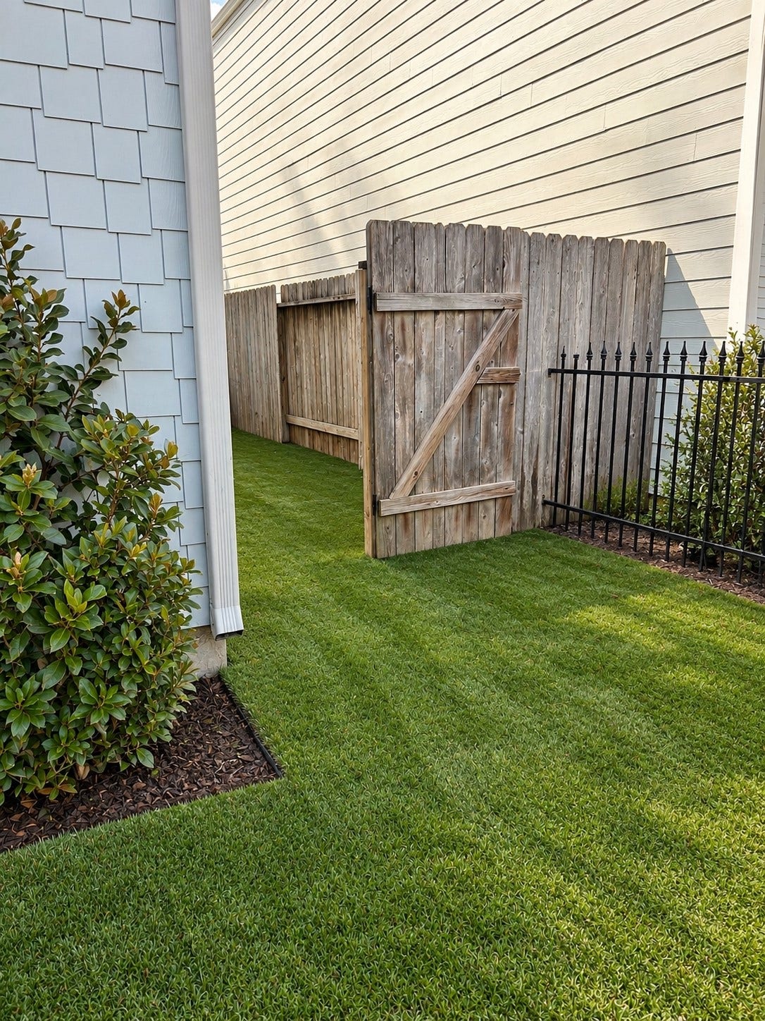 1154 W 10th Street, Houston, TX 77008 Back Yard - Turf