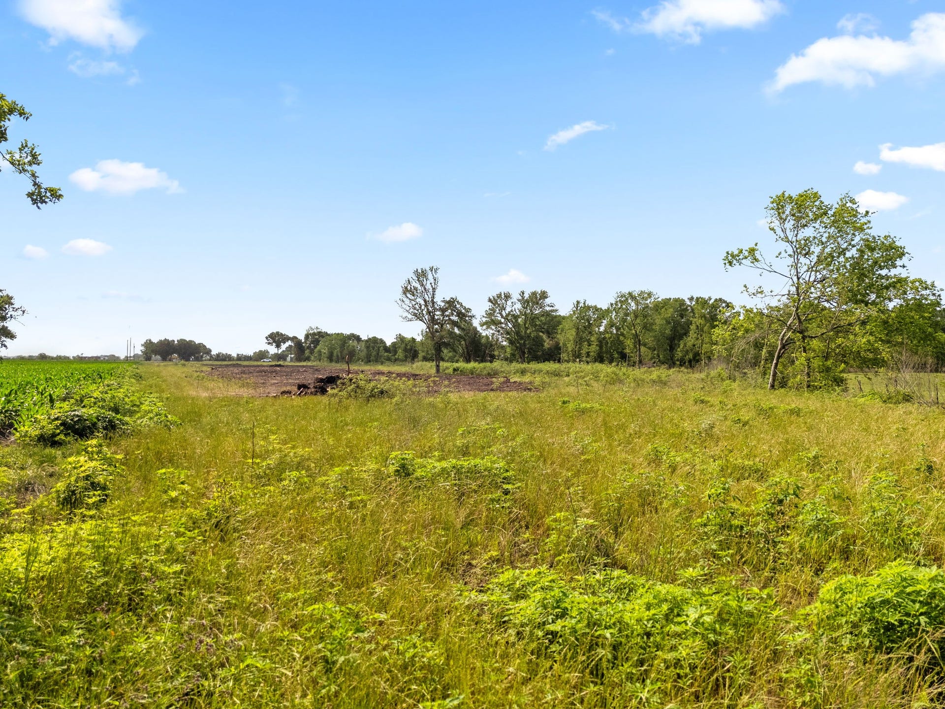 000 Modena School Road, Rosenberg, TX 77471 000 Modena School Road, Rosenberg, TX 77471
