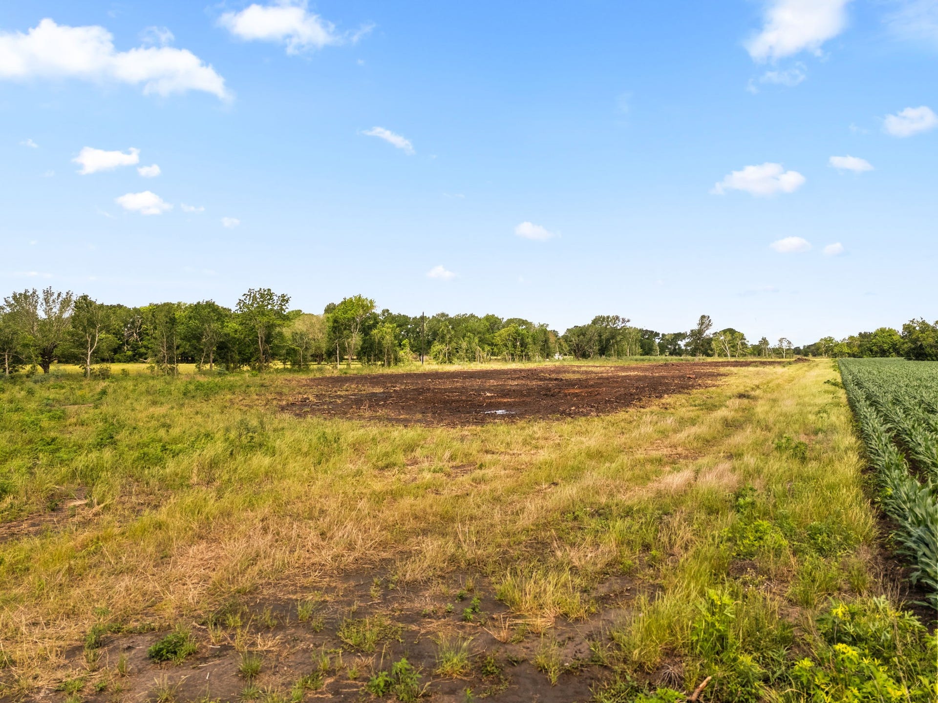 000 Modena School Road, Rosenberg, TX 77471 000 Modena School Road, Rosenberg, TX 77471