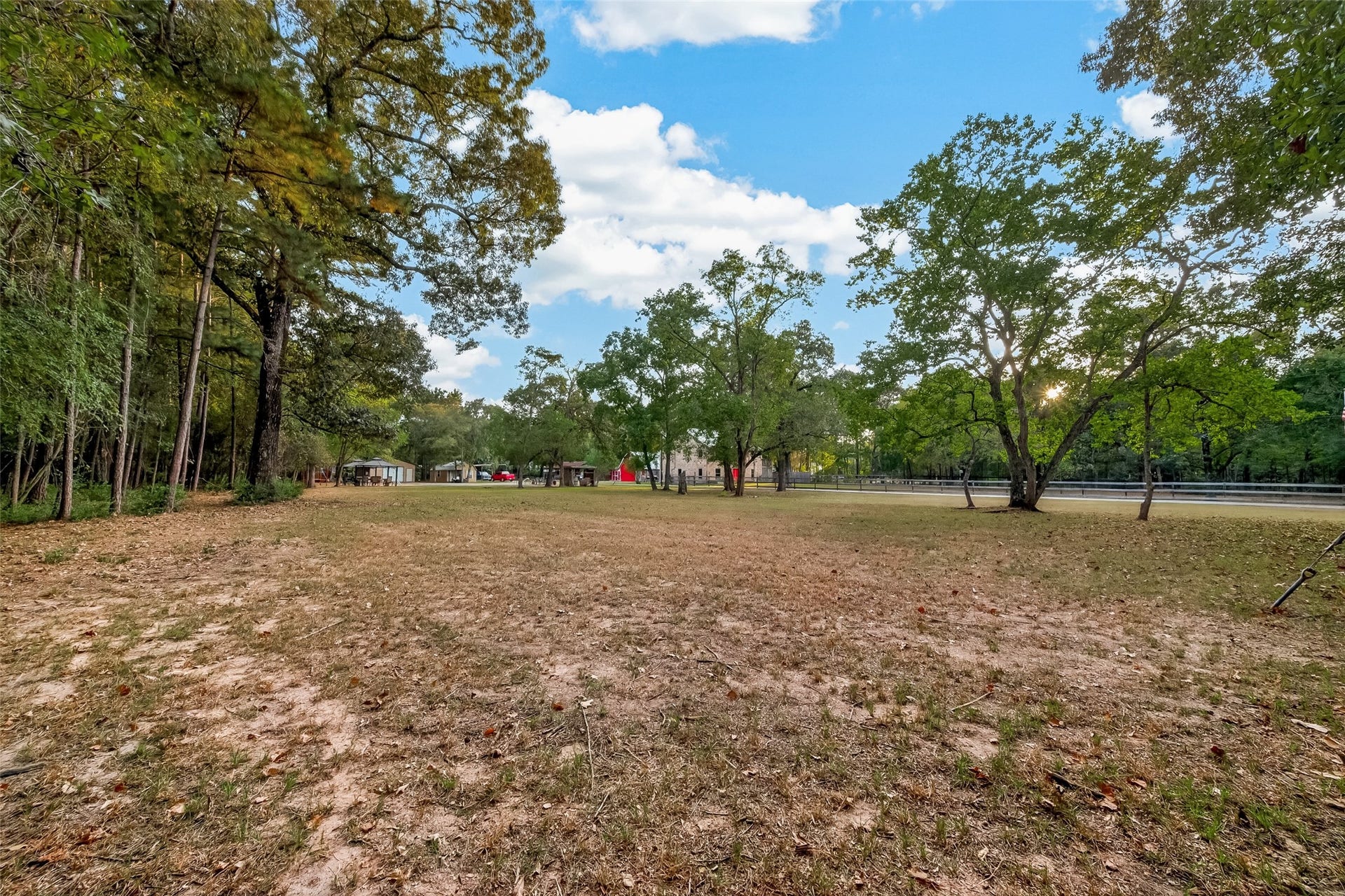 18614 Mink Lake Drive, Magnolia, TX 77355 Expansive open grounds with mature trees throughout.