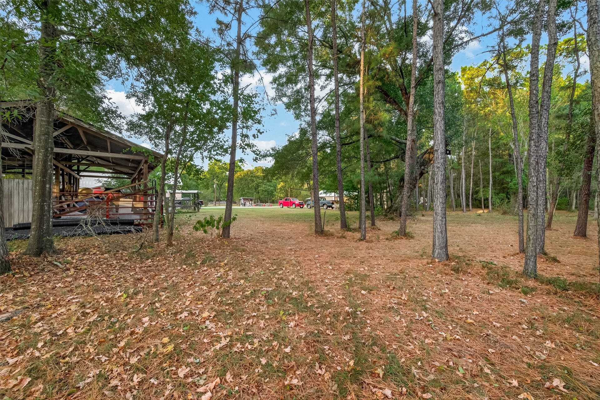 18614 Mink Lake Drive, Magnolia, TX 77355 Wooded backyard area surrounded by mature trees.