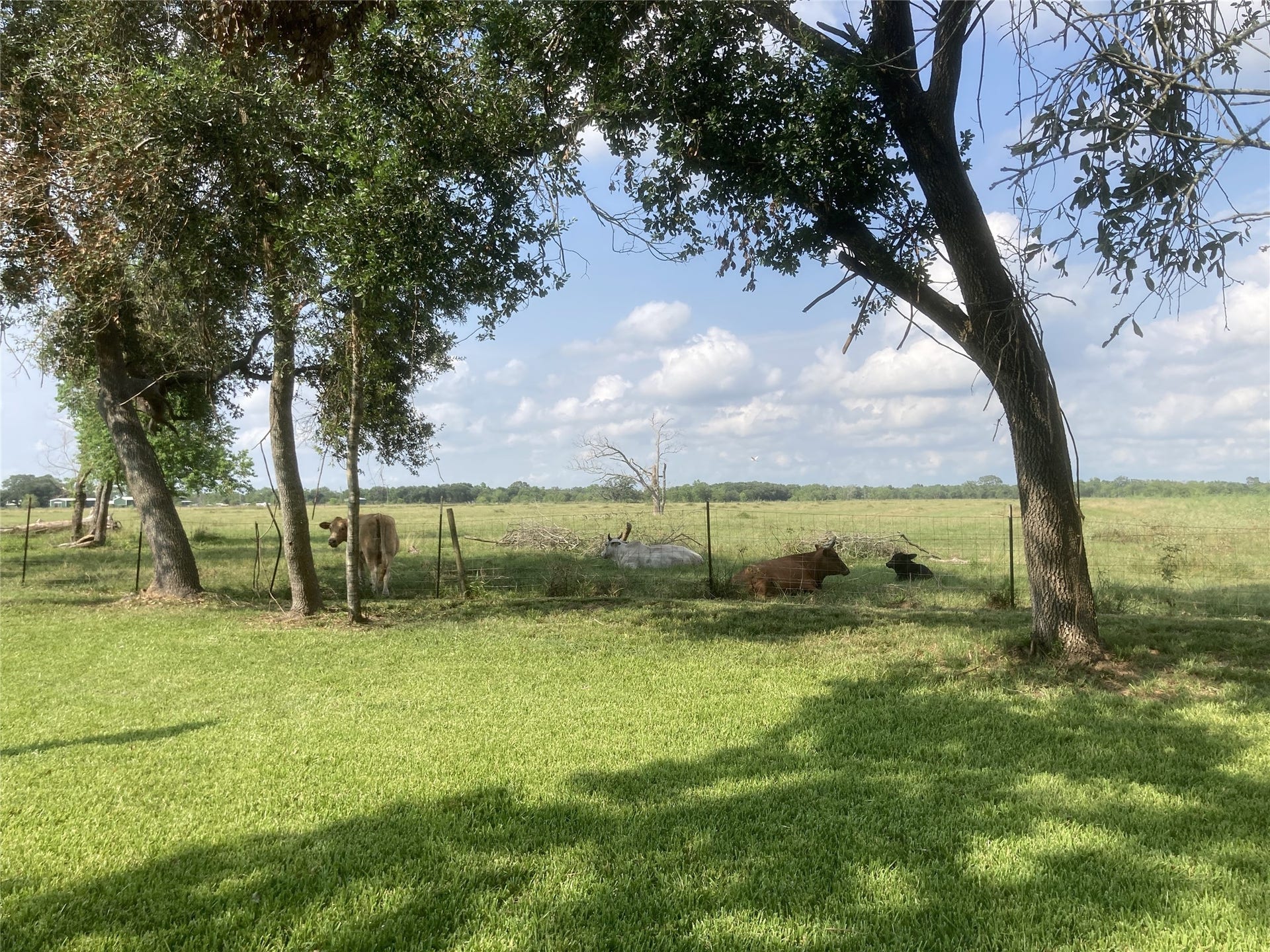 4003 Country Trails Street, Alvin, TX 77511 4003 Country Trails Street, Alvin, TX 77511