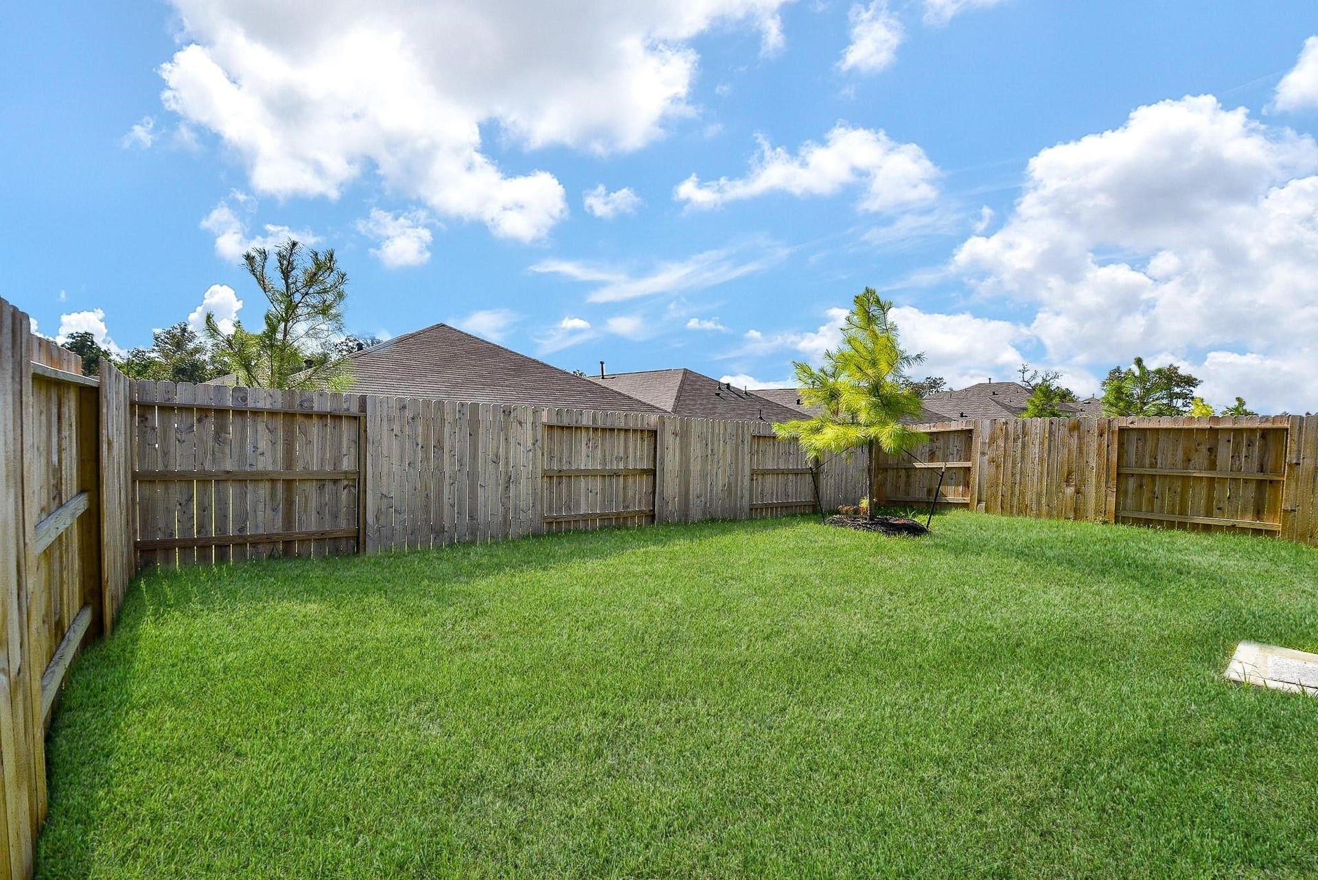 1542 San Sebastien Drive, Conroe, TX 77301 1542 San Sebastien Drive, Conroe, TX 77301
