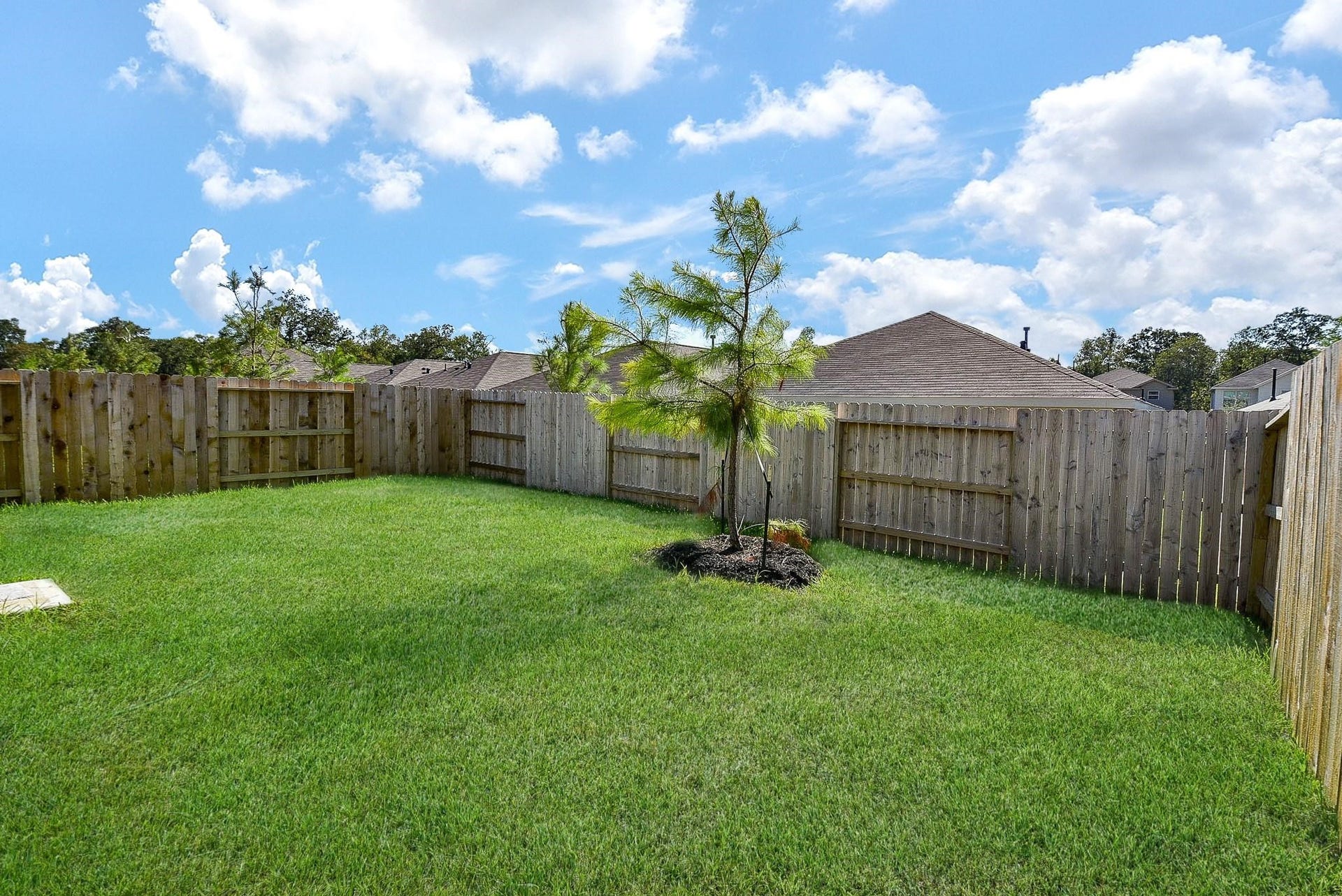 1542 San Sebastien Drive, Conroe, TX 77301 1542 San Sebastien Drive, Conroe, TX 77301
