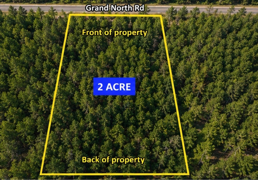 Property photo for 11818 Grand North Road, Willis, TX