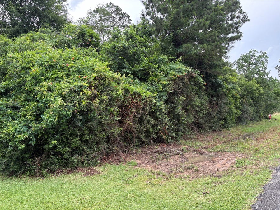 Property photo for 0 Moore, Tomball, TX