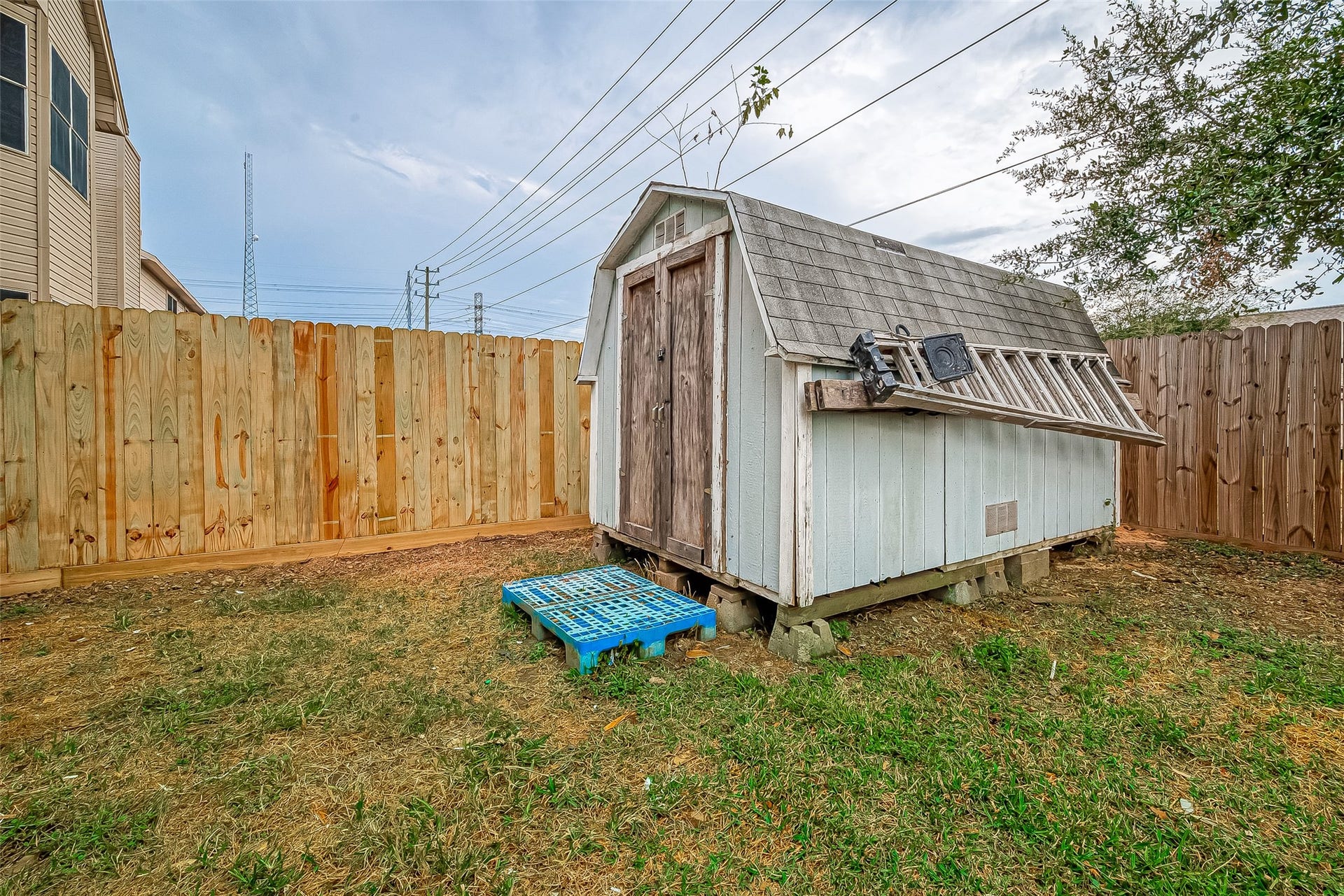 New side fence