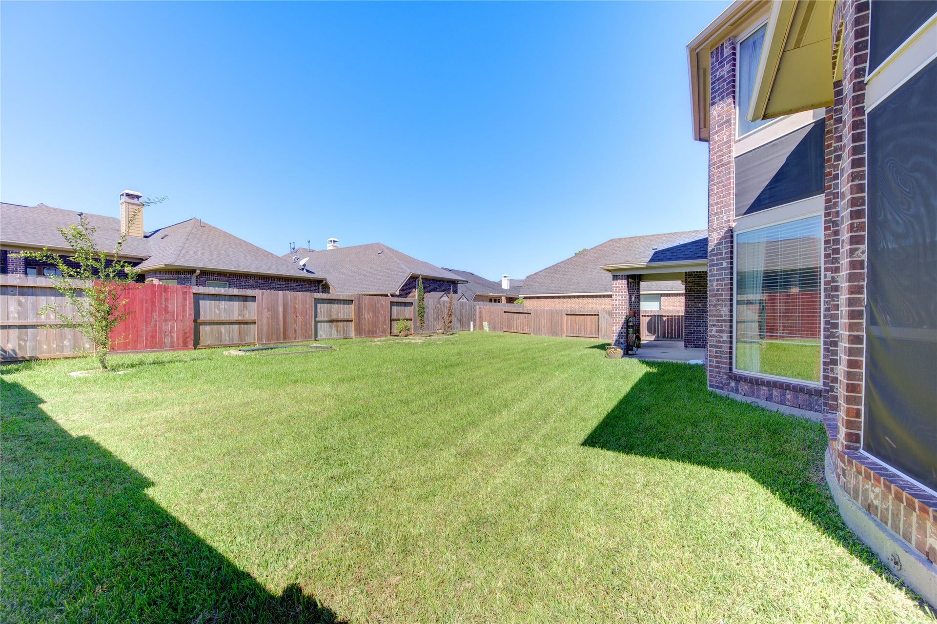 Great yard with flower bed, vegetable patch and lemon tree.