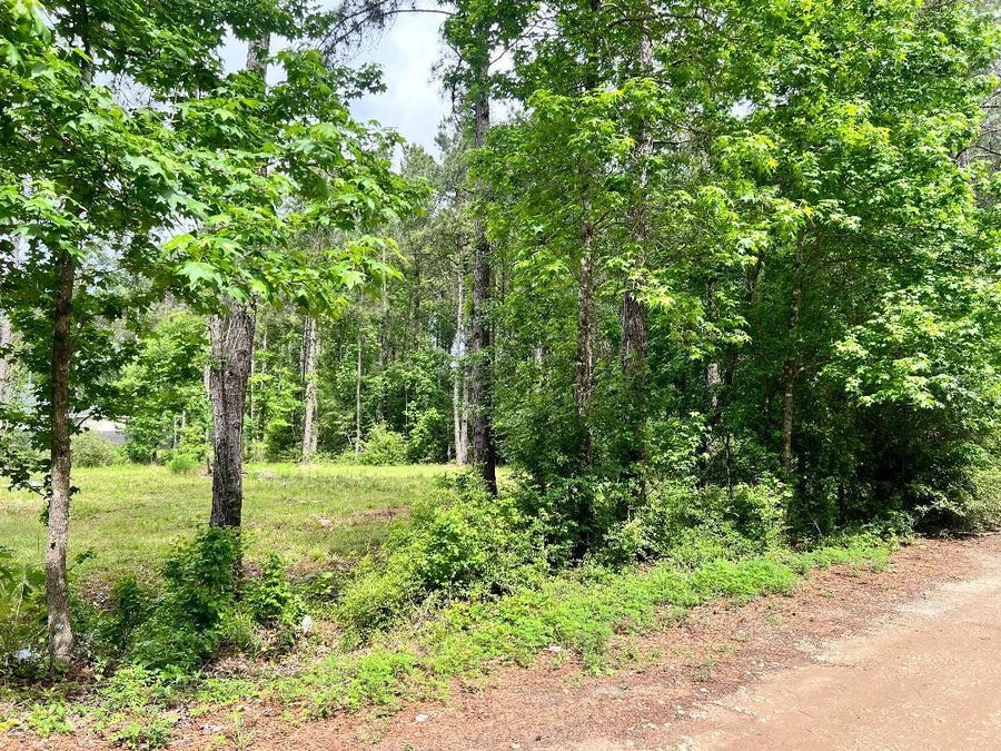 Property photo for 19212 Cannock Court, New Caney, TX