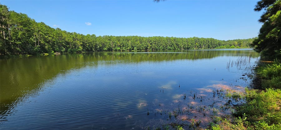 Property photo for 13919 Cecala Drive, Montgomery, TX