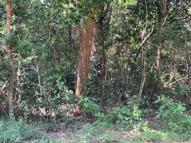 Property photo for tbd Tanyard Rd, Conroe, TX