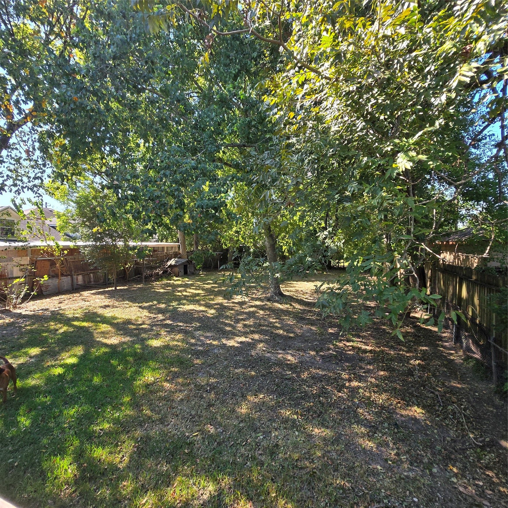 11821 Cardiff Road, Houston, TX 77076 spacious Backyard