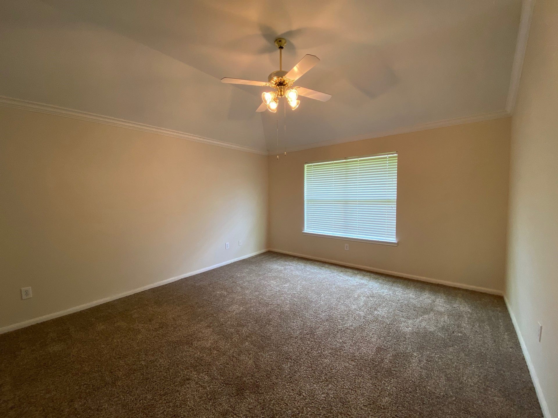 3635 Sheldon Drive, Pearland, TX 77584