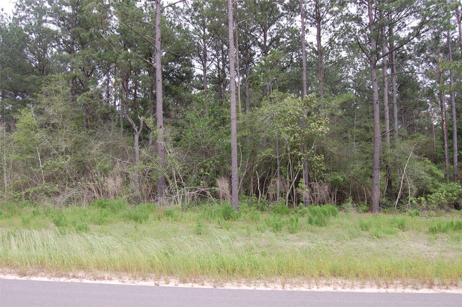Property photo for 15674 Forest Grove Drive, Willis, TX