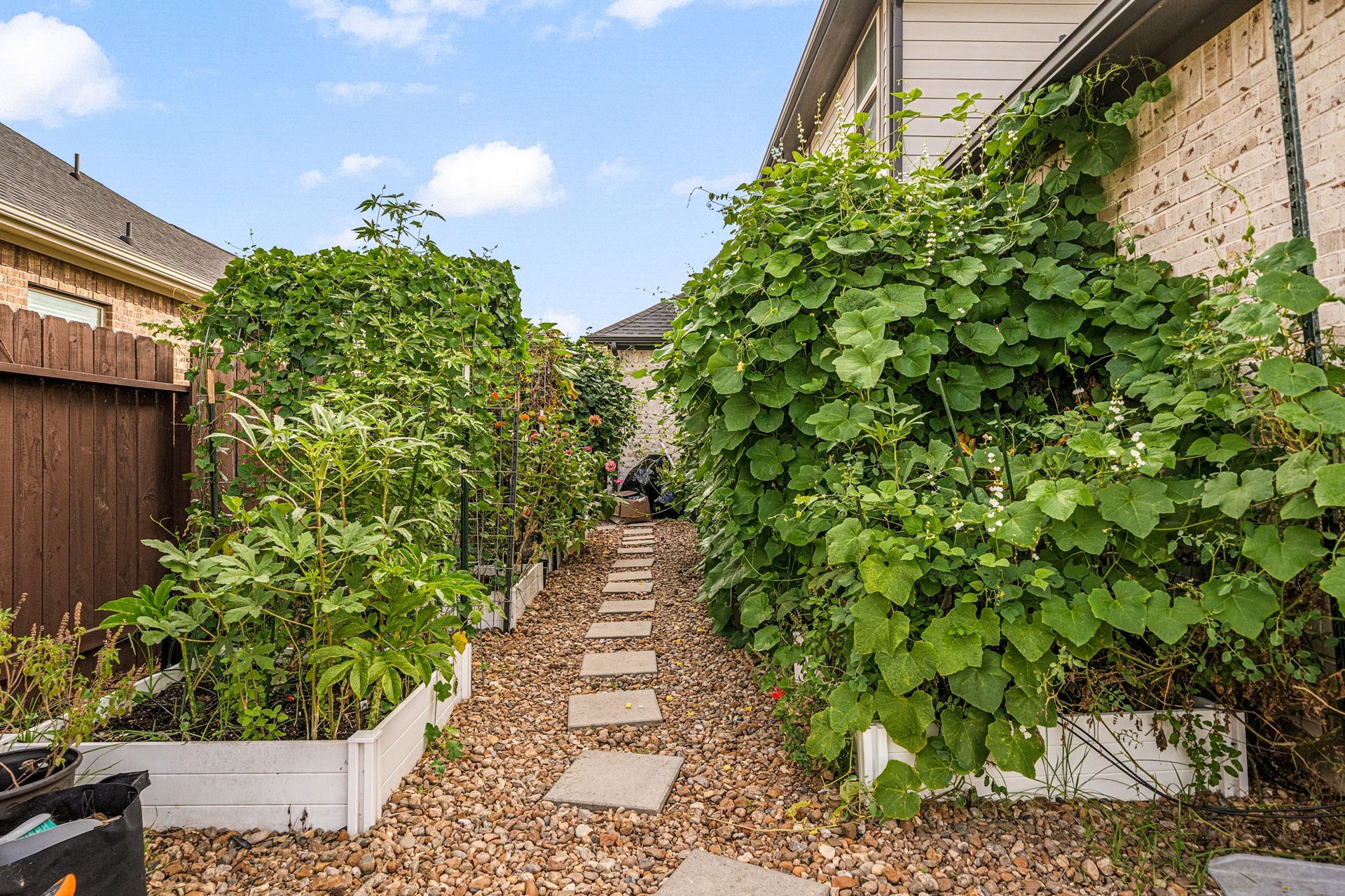 31619 Donoso Drive, Fulshear, TX 77441 The fully irrigated, automated side garden features eight raised beds and flourishing vines along a stone path a true showpiece and one of the home's most cherished features.