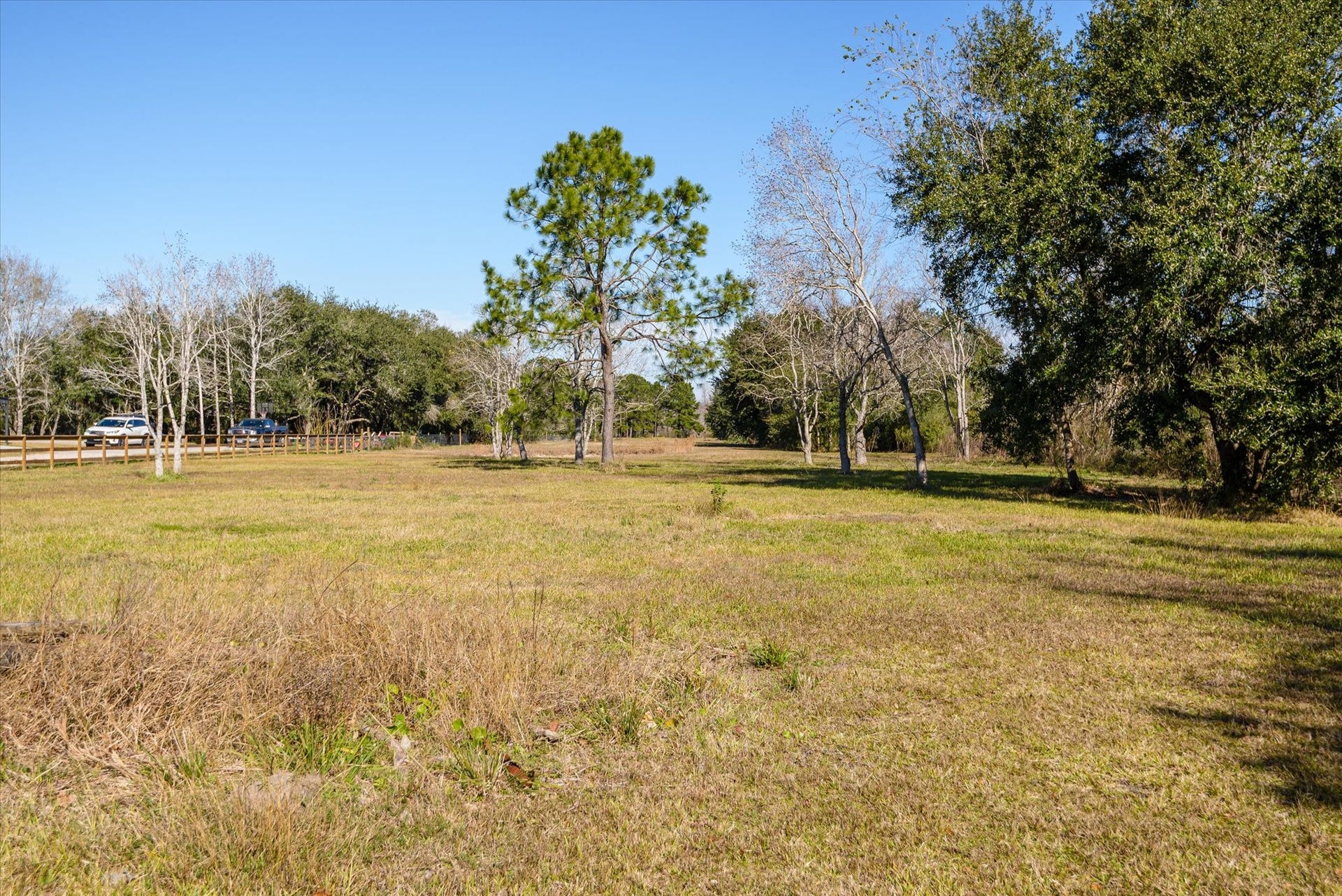 11578 28th Street, Santa Fe, TX 77510 Acreage behind the house.