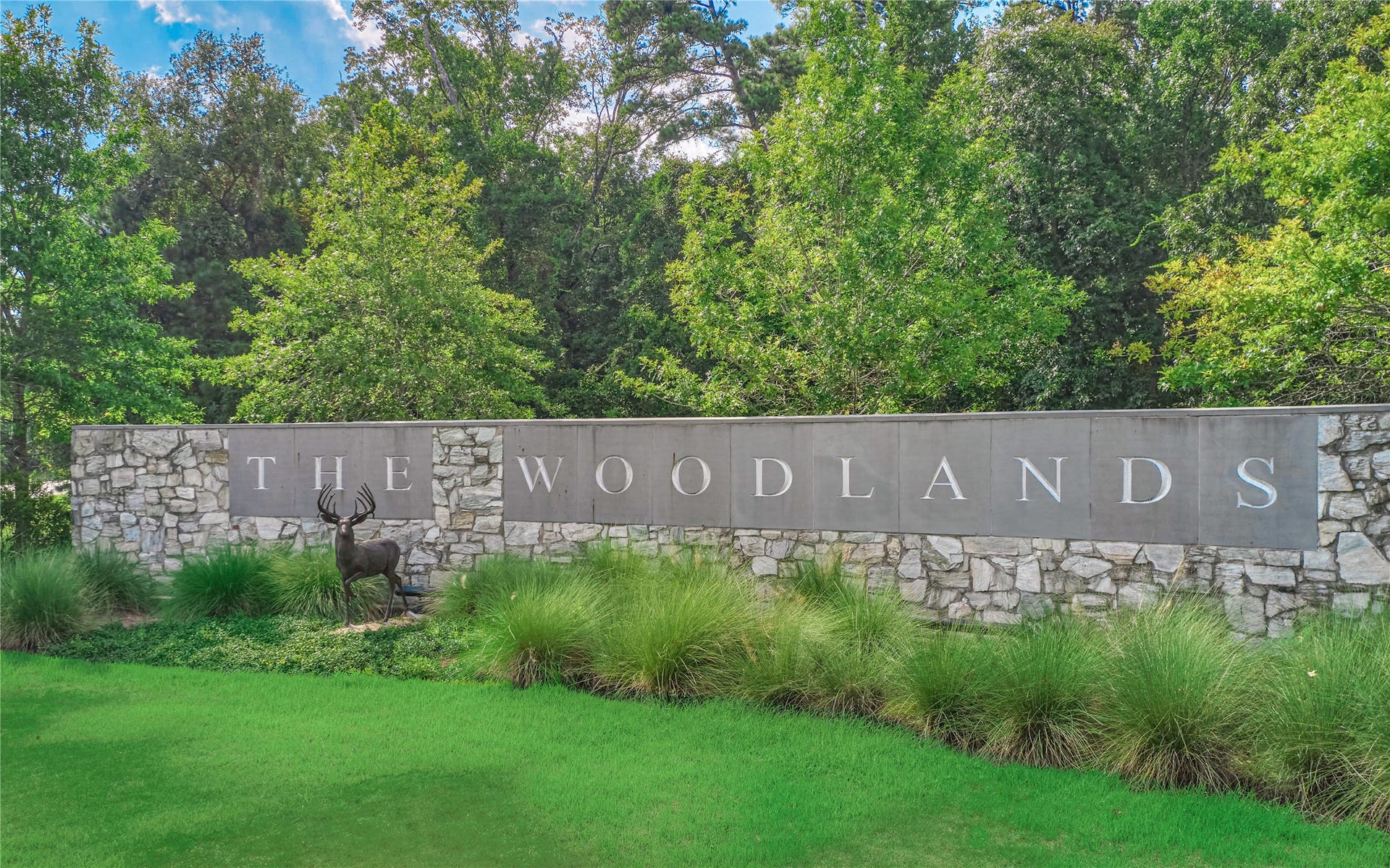 173 Timber Mill Street, The Woodlands, TX 77380 Welcome to The Woodlands, where natural beauty, exceptional amenities, and an unmatched lifestyle come together!