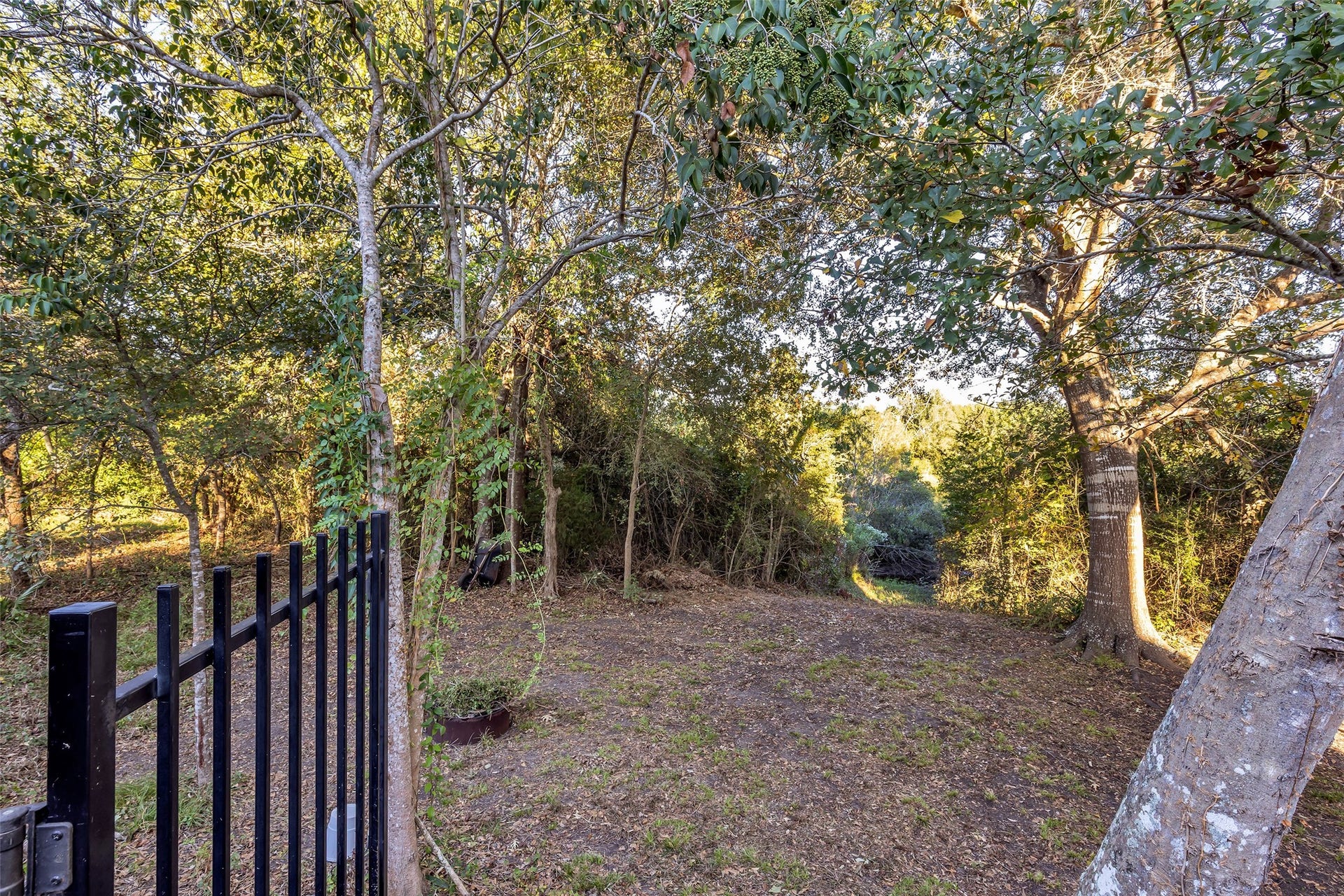 440 Magnolia Blossom, League City, TX 77573 Follow the steps down for your own slice of Walden.