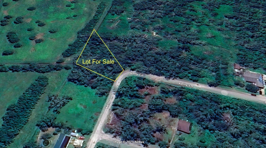 Property photo for 000 Kelly Lane, Angleton, TX