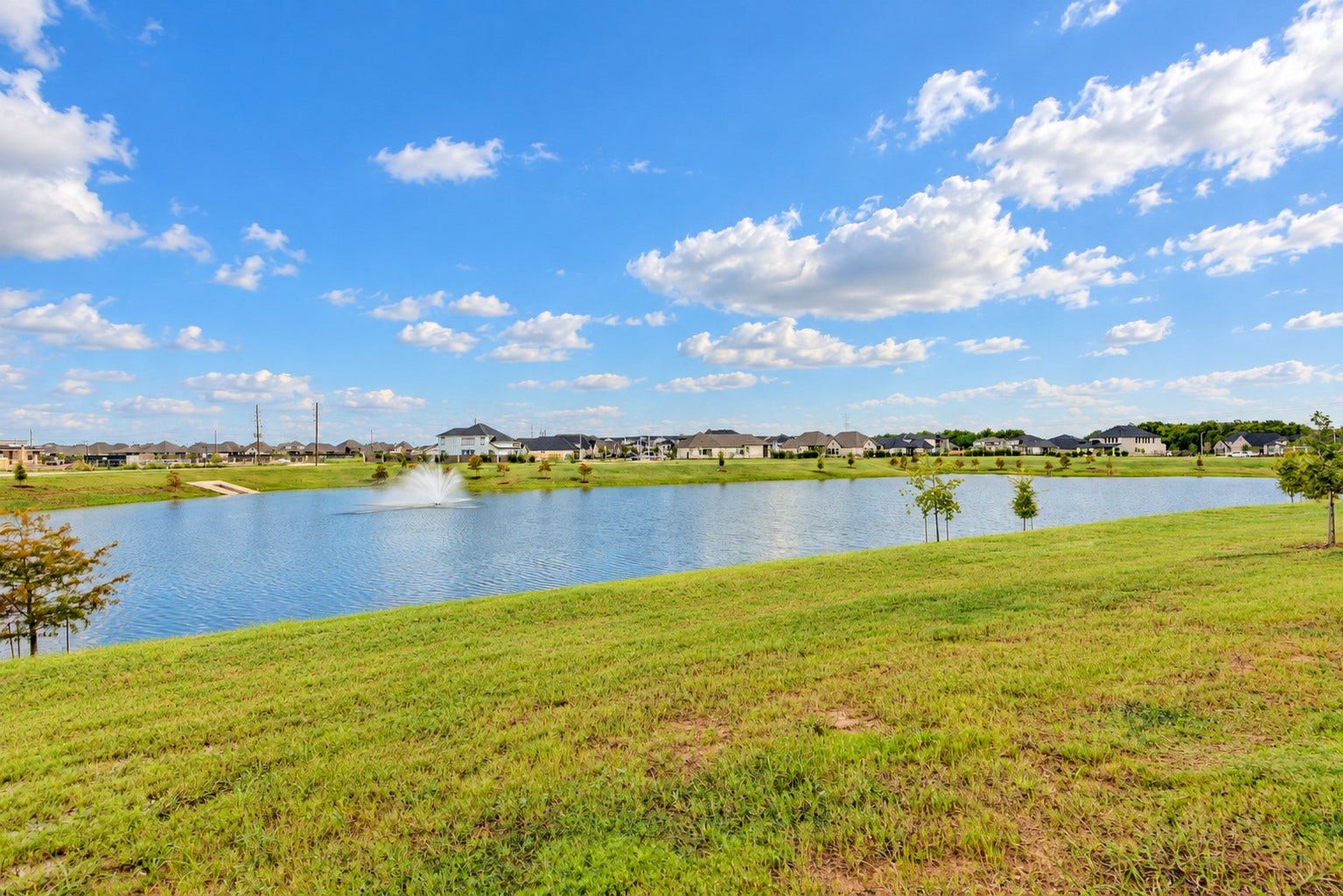 218 Curly Cucumber Circle, Richmond, TX 77406 View from your backyard