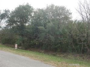 00 Mills Rd, Hitchcock, TX 77563 00 Mills Rd, Hitchcock, TX 77563