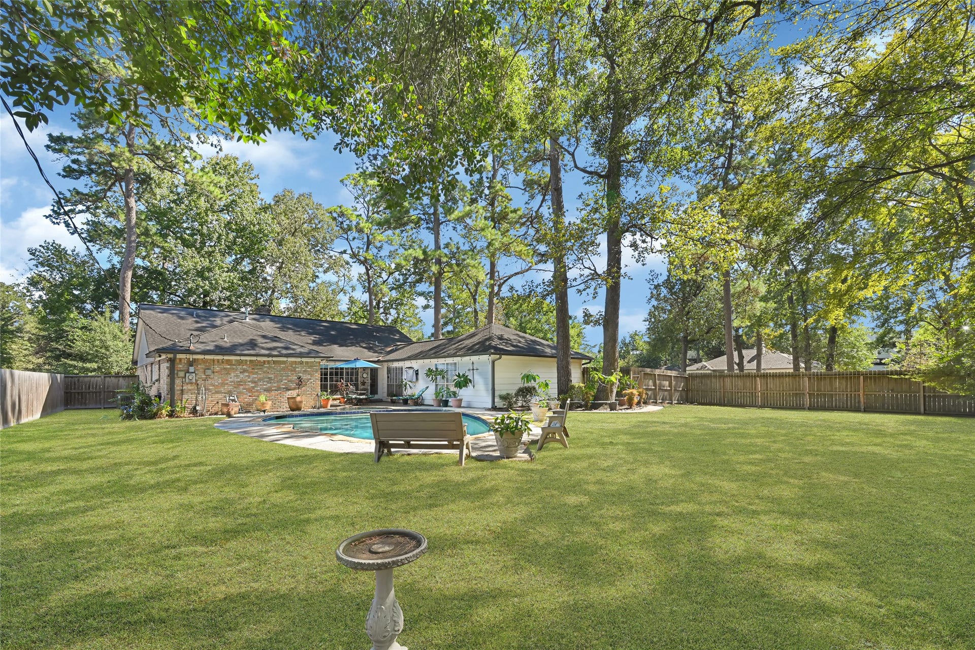 25803 Maplewood Drive, Spring, TX 77386 Expansive backyard oasis featuring a pristine pool surrounded by lush greenery and mature trees, ideal for outdoor relaxation and entertaining.