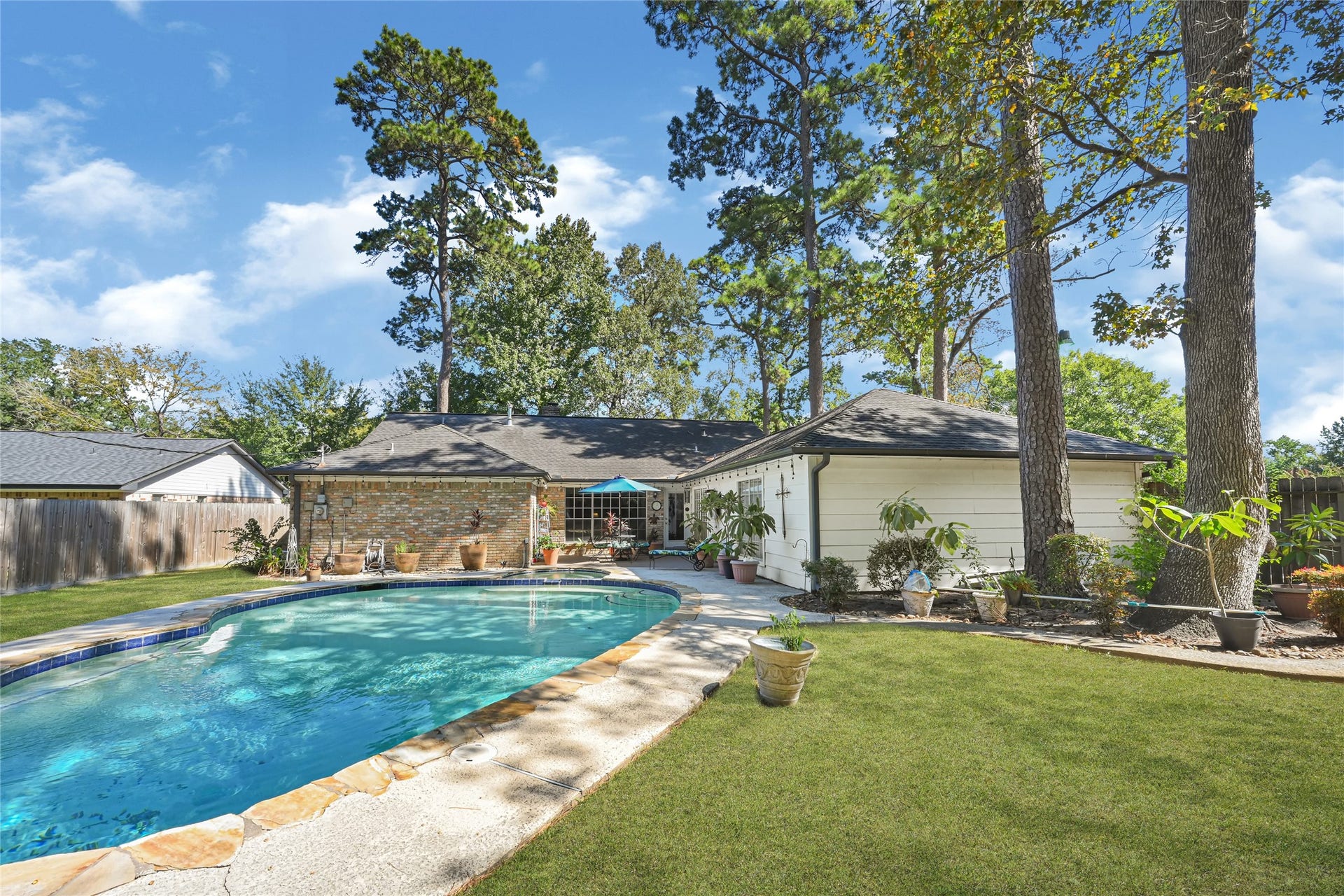 25803 Maplewood Drive, Spring, TX 77386 Charming backyard oasis featuring a sparkling pool surrounded by lush greenery and mature trees, perfect for relaxation and entertaining.