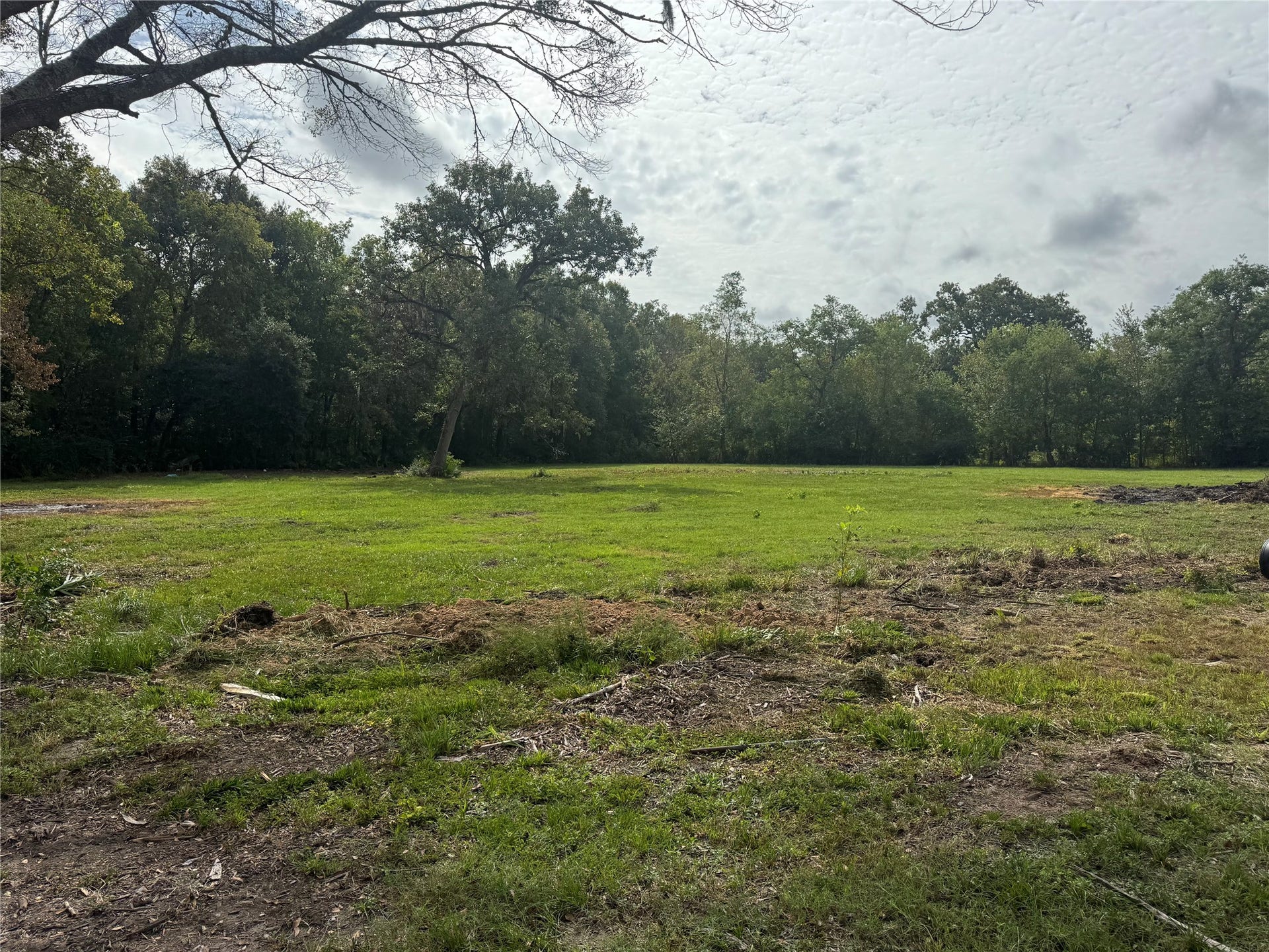 13284 Calhoun Road, Conroe, TX 77302