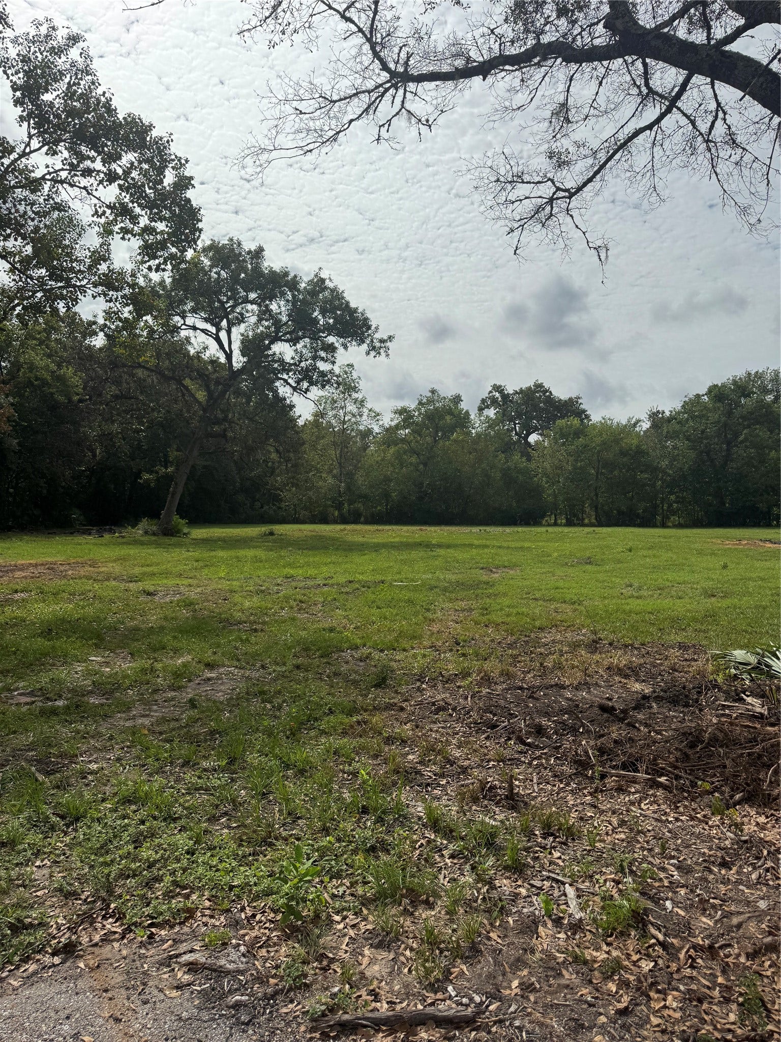 13284 Calhoun Road, Conroe, TX 77302