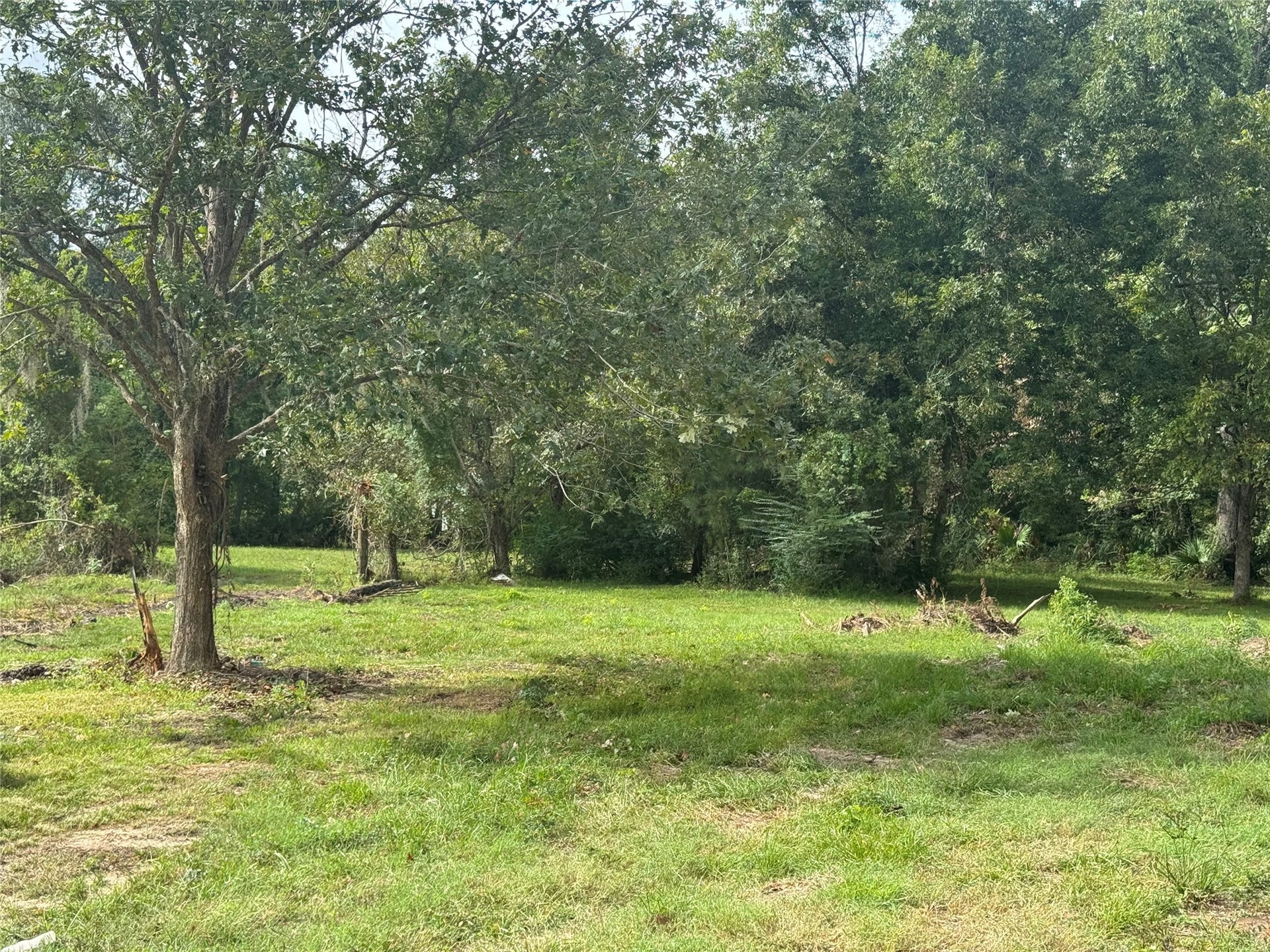 13284 Calhoun Road, Conroe, TX 77302