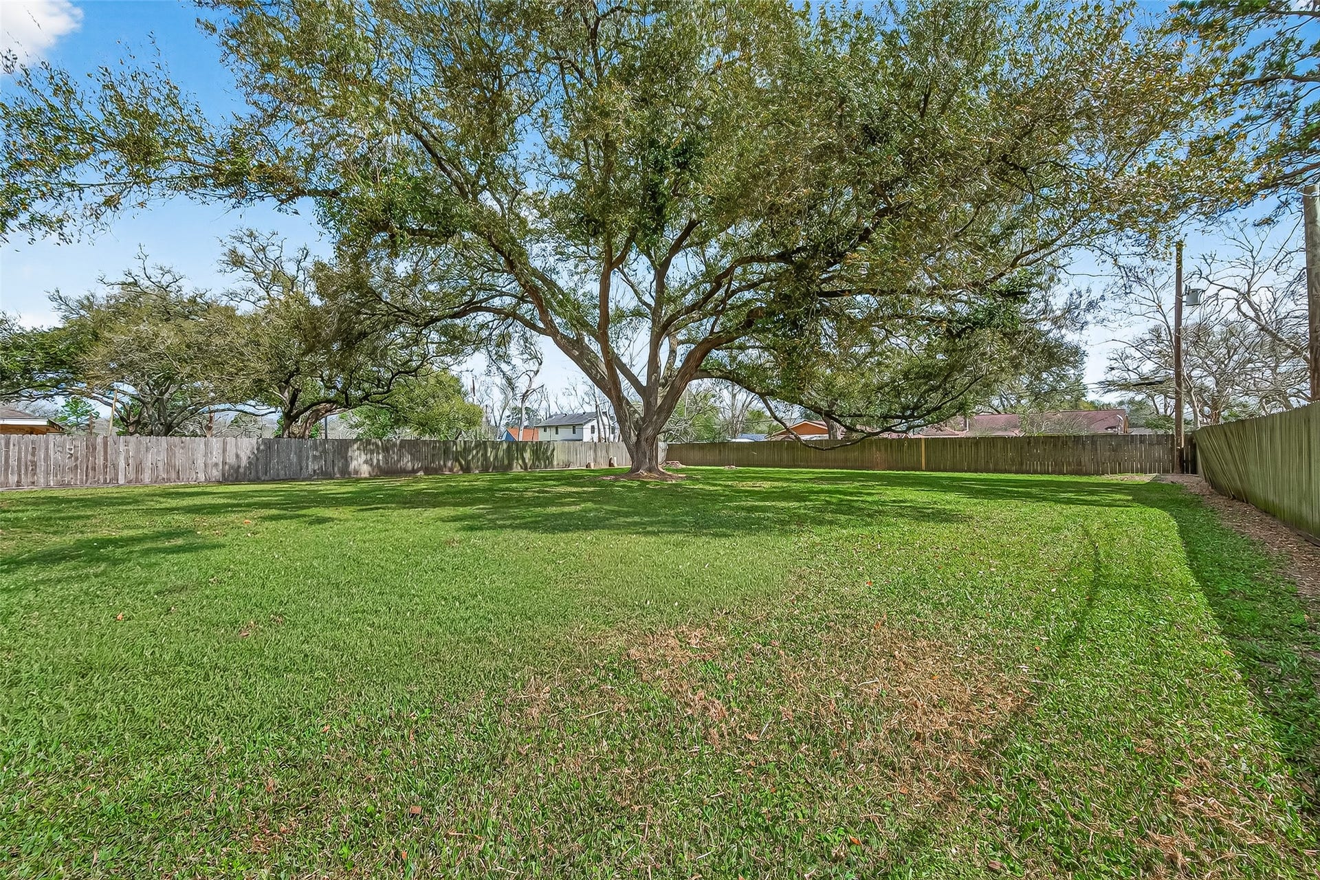 5607 Avenue M 1/2, Santa Fe, TX 77510 Spacious backyard with lush green lawn and a large, mature tree providing ample shade, enclosed by wooden fencing for privacy. Ideal for outdoor activities and relaxation.