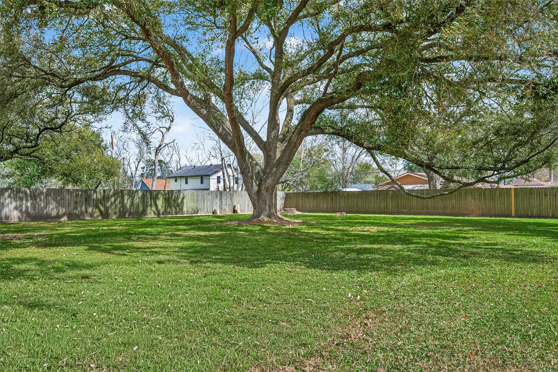 5607 Avenue M 1/2, Santa Fe, TX 77510 Spacious backyard with lush green grass and a large, mature tree providing ample shade. The area is enclosed by a wooden fence, offering privacy and a serene outdoor space.