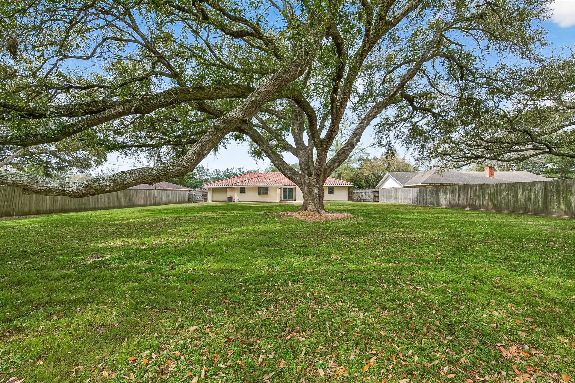 5607 Avenue M 1/2, Santa Fe, TX 77510 This photo showcases a spacious backyard featuring a large, mature tree, perfect for shade and outdoor activities. The house has a light exterior with a red-tiled roof and is surrounded by a wooden fence, offering privacy and a serene environment.