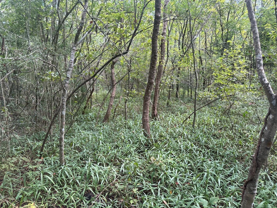 Property photo for 00 Flakes Addition - Lot 4, 5, 6 of BLK 7, Hitchcock, TX