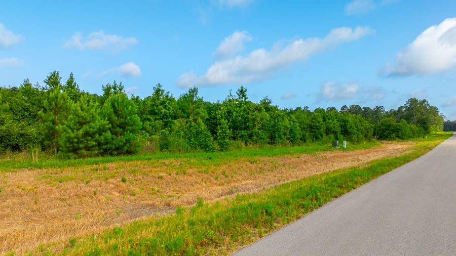 Property photo for 16151 Forest Mill Rd Road, Willis, TX