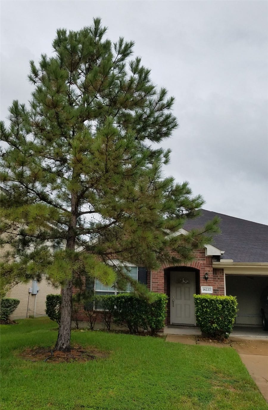 Property photo for 18227 Sweet Juniper Lane, Katy, TX