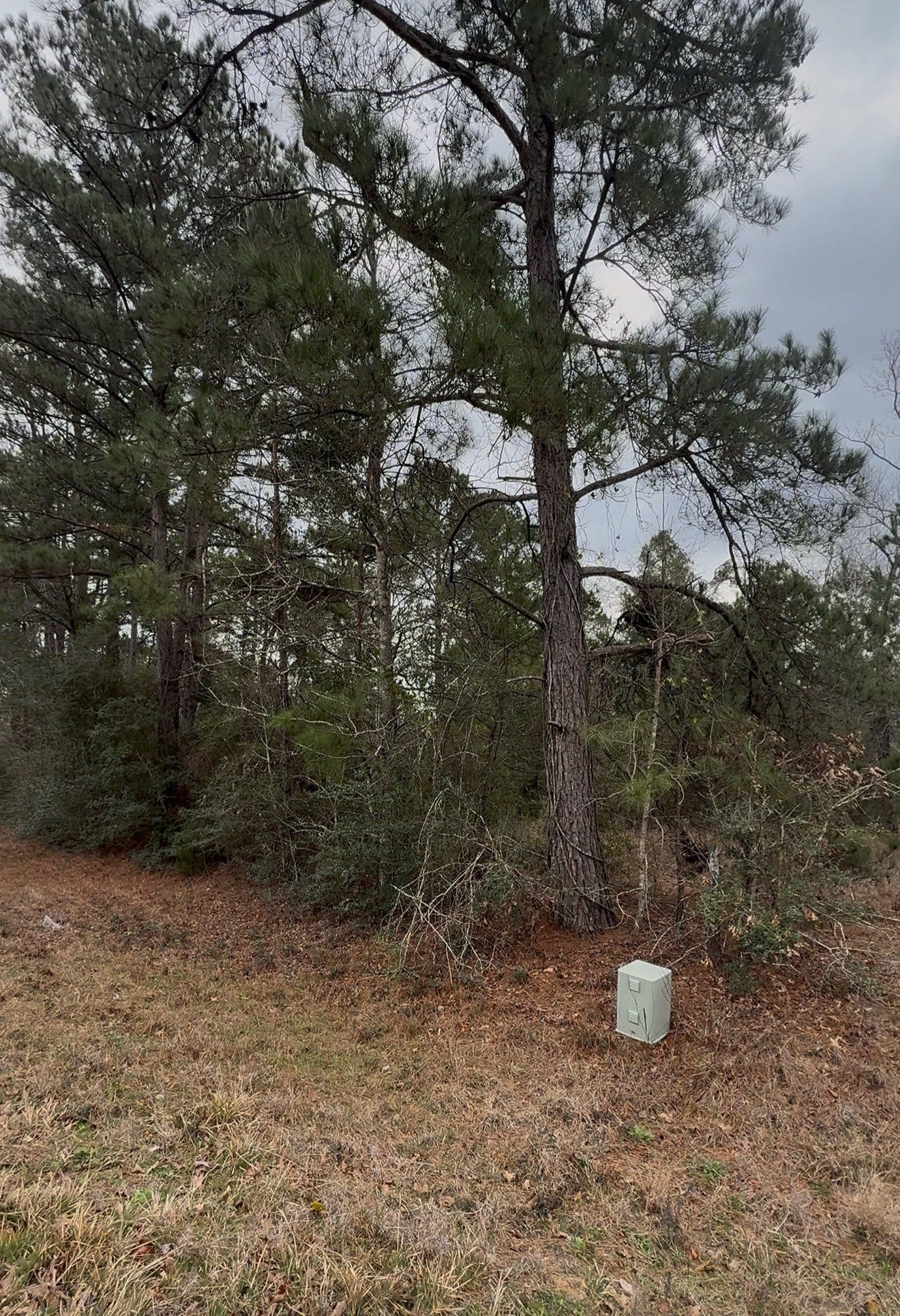 24159 Weeren Road, Montgomery, TX 77316 24159 Weeren Road, Montgomery, TX 77316