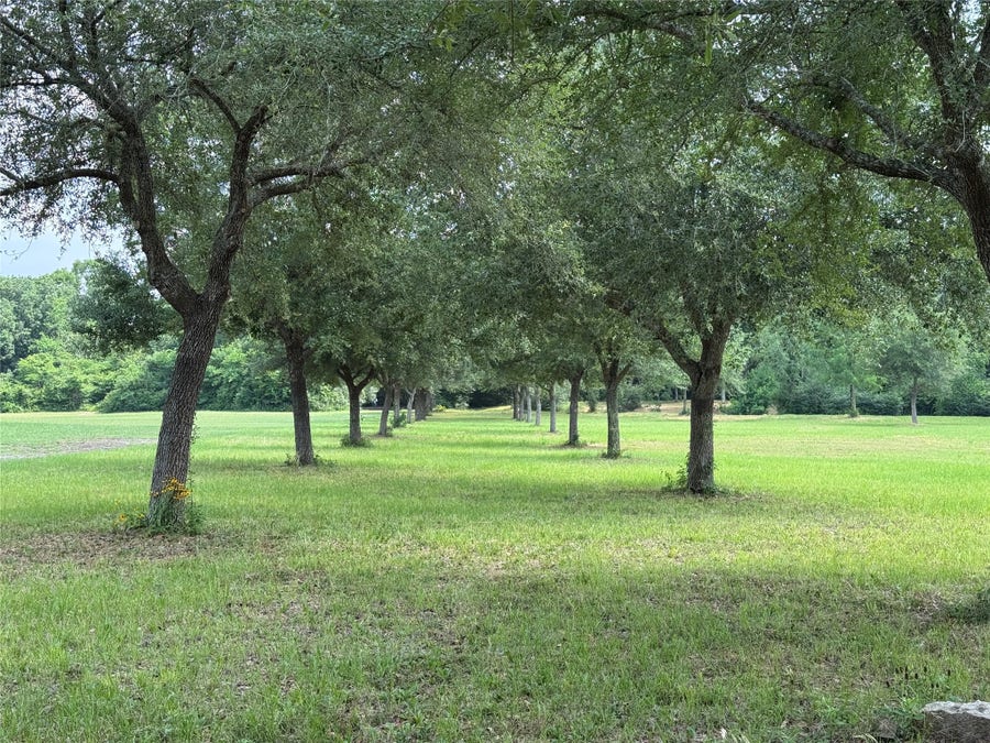 Property photo for 24077 Old Dobbin Plantersvil Road, Montgomery, TX