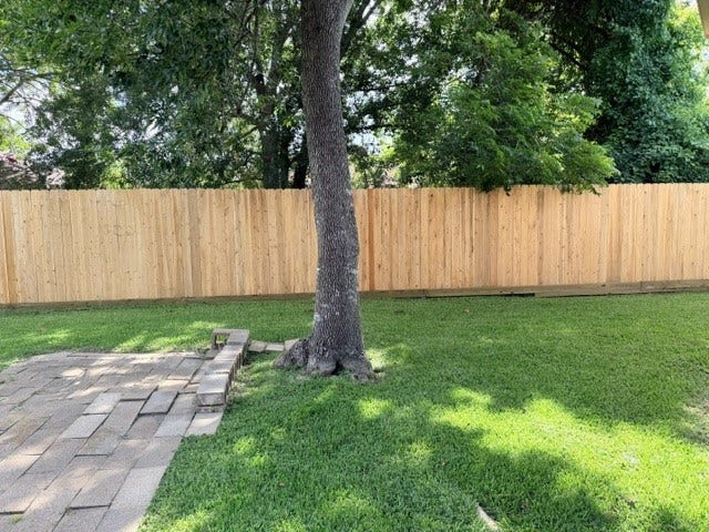 519 Oleander Street, Lake Jackson, TX 77566 BACKYARD